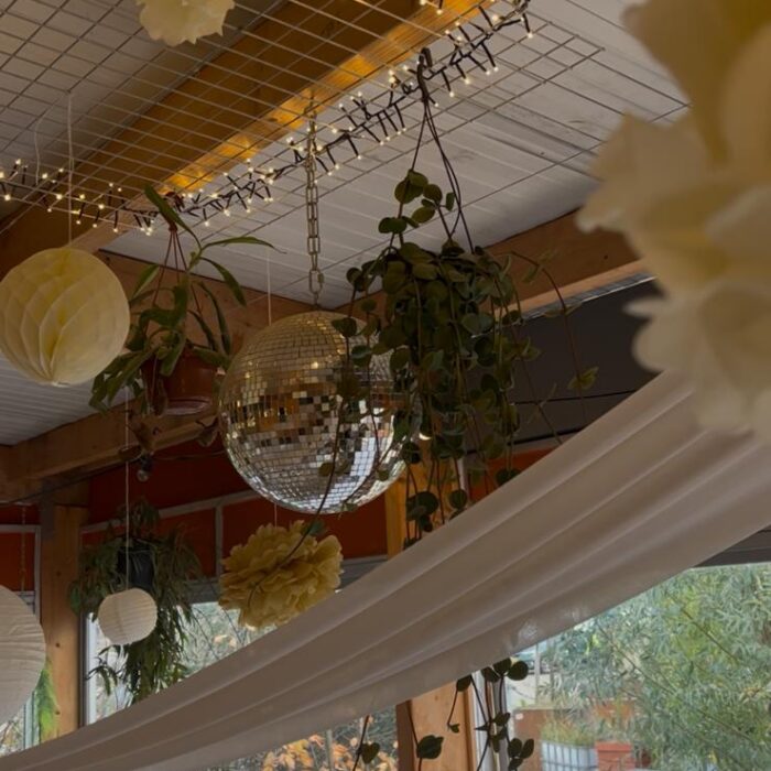 WhatsApp Image 2026-01-31 at 09.16.49