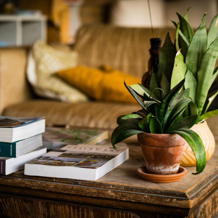 DBF_De Buitenkans-37